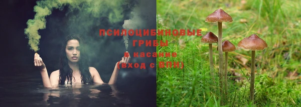 apvp Дмитровск