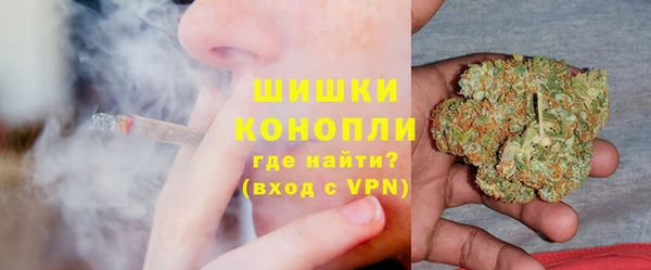 стаф Дмитриев