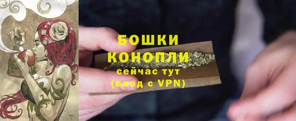 стаф Дмитриев