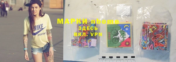 шишки Кущёвская