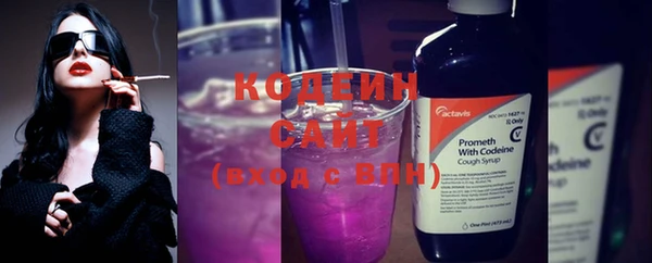 стаф Дмитриев