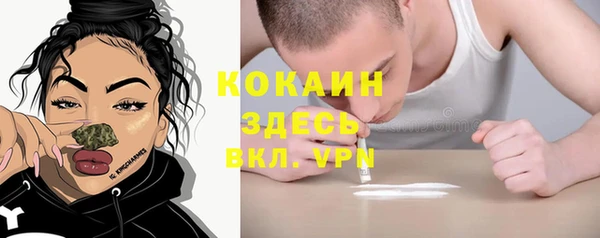 apvp Дмитровск