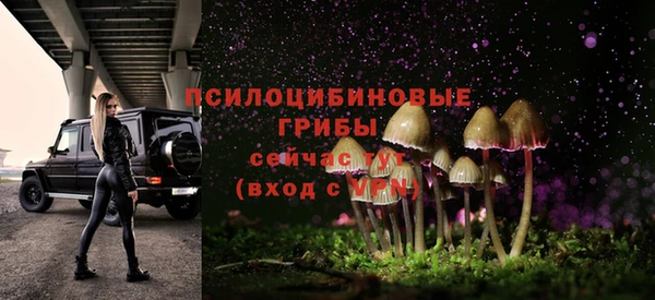 мяу мяу кристалл Дмитров