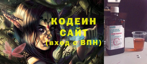 стаф Дмитриев