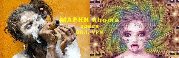 стаф Дмитриев