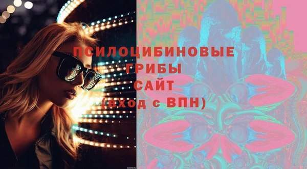 apvp Дмитровск