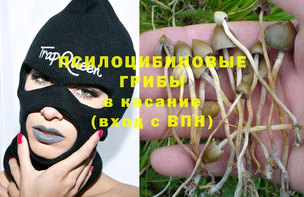apvp Дмитровск