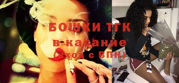 стаф Дмитриев