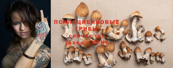 стаф Дмитриев